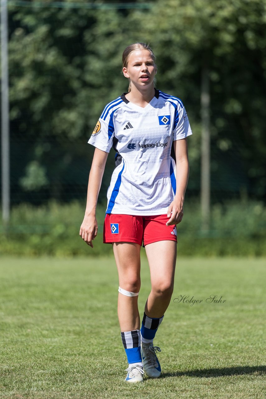 Bild 372 - wBJ Hamburger SV - VfL Wolfsburg : Ergebnis: 5:1
